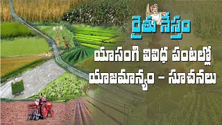 రైతునేస్తం || యాసంగి వివిధ పంటలలో యాజమాన్యం సూచనలు || #Raithunestham phone in #live