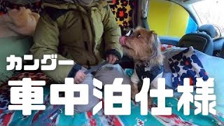 【車中泊仕様】夫婦と愛犬で車中泊してるカングーを紹介します🐶【フルフラットDIY】