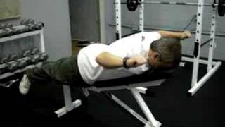 YTWLI - Lower and Mid Trapezius Exercise - Nutrex Solutions