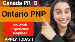 Ontario PNP | Canada PR 🇨🇦 | OINP International Student Stream.