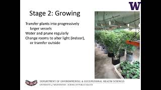 Occupational Health Hazards in Cannabis Industry by Christopher Simpson, Professor U of Washington