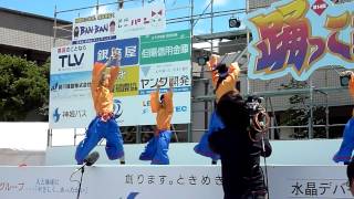 よさこい踊り子隊　晴心　　踊っこまつり　2012　2日目　本部競演場