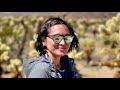 Cholla Cactus Garden | Joshua Tree