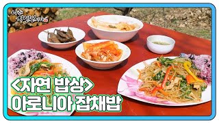 ＜자연 밥상＞ 아로니아 잡채밥 + 삼채 가루 MBN 240424 방송