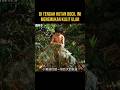 BOCIL INI DI CEGAT ULAR BESAR DI TENGAH HUTAN #alurceritaflim #film