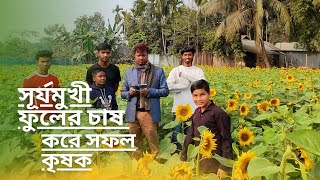 সূর্যমুখী ফুলের চাষ করে বাণিজ্যিকভাবে  সফল কৃষক