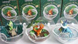 Pokemon Terrarium collection3 全６種 開封 ポケモン テラリウムコレクション３ Figure ポケットモンスター リーメント RE-MENT 食玩