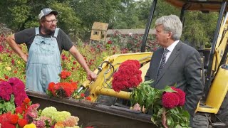 Garden Spot: Inside the cockscomb flower jungle