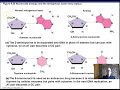 Ch 8 Part 2 Microbial Genetics