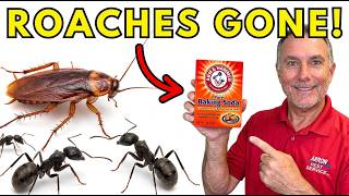 How To Use Baking Soda To Get Rid Of Roaches And Ants!