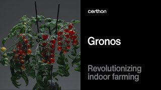 Certhon Gronos