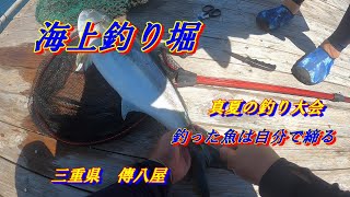 【海上釣り堀】真夏の釣り大会。風にも負けず、暑さにも負けず、つ抜け達成！