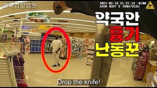 모처럼 비살상무기인 빈백샷건이 들은 사건, A Rare Successful Case Involving a Non-Lethal Weapon: The Bean Bag Shotgun