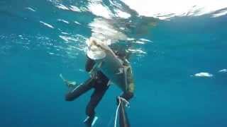 Spearfishing-chasse sous marine seriole à l'agachon #Bizerte GOPRO HERO 4 SILVER (1080)