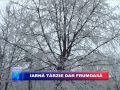 2012 02 24 iarna tarzie dar frumoasa