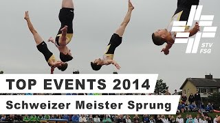 BTV Luzern - Schweizer Meister Sprünge 2014