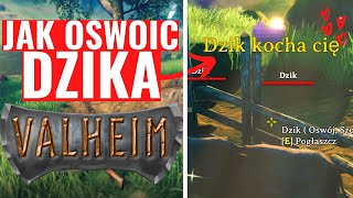 VALHEIM - JAK OSWOIĆ DZIKA - PORADNIK