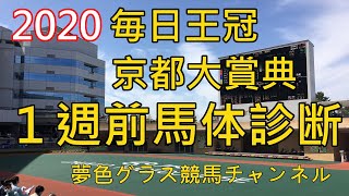 【馬体診断】2020毎日王冠\u0026京都大賞典！サリオス注目の秋始動戦！