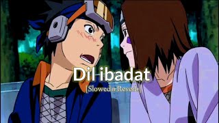 Dil IBADAT [Slowed n Reverb]-LOFI SONG