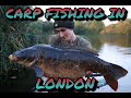 CARP FISHING IN LONDON - PARK LAKES