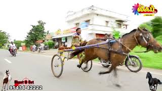 பவானி  ரேக்ளா பந்தயம் 45 இஞ்சு குதிரை மற்றும் பெரிய குதிரை 2019