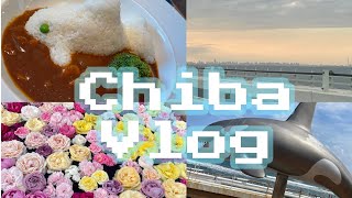 【Vlog】鴨川シーワールド＆ドイツ村ドライブ旅