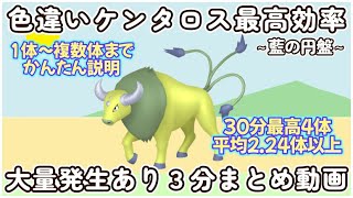 色違いケンタロス最高効率３分まとめ最高４体平均2.24体以上 #ポケモンsv #最高効率 #色違い #ケンタロス #藍の円盤