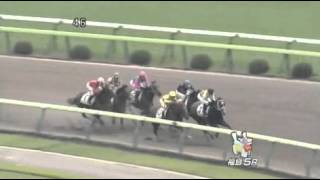 2013年 2歳新馬 / ニシノイナズマ