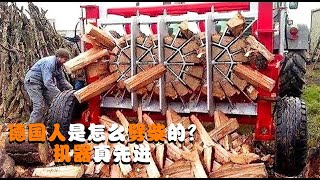 德国人是怎么劈柴的？一天可劈一座山头，我们什么时候引进