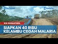 Kawasan Inti IKN Nusantara Banyak Malaria, 40 Ribu Kelambu Disiapkan Buat Pekerja