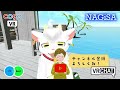 【vrchat】ぶいちゃが近隣トラブルに？！vrcでの喋りは騒音になる？【meta quest3】 vr vtuber