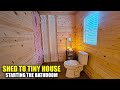 Shed To Tiny House In The Woods - I'm So Glad I Did This