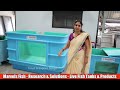 best live fish tanks manufacturers in hyderabad for fish shops u0026 farmers start live fish business