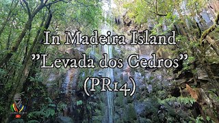 Levada dos Cedros (PR14) - In Madeira Island (12/12/2021)