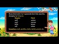 Class 3: Singular and Plural Nouns