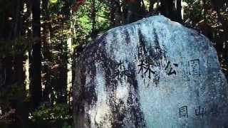 岡山県立森林公園の紅葉