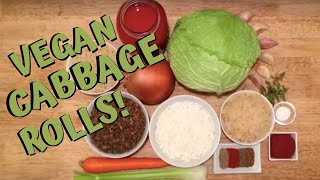 The BEST Vegan Cabbage Rolls - Plant-Based EASY Sauerkraut Stuffed with Tomato Sauce (FULL RECIPE!)