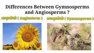 Differences Between Gymnosperms and Angiosperms || आवृतबीजी तथा अनावृतबीजी में अन्तर || #biology