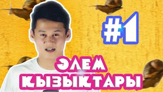 #1 СІЗ БІЛМЕЙТІН ӘЛЕМ ҚЫЗЫҚТАРЫ 20-ФАКТ