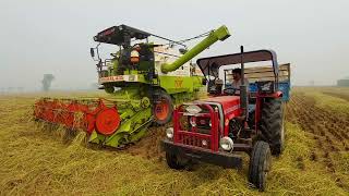 Vishal 435 Harvester Combine Full Review New Model Best Performance in the Field