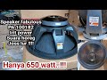 review speaker ACR FABULOUS PA 100182//irit power horegg lur