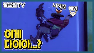 (레전드)그마 손+브론즈 뇌=다이아 | 장문철 12화