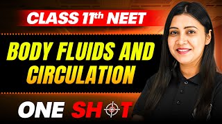 Body Fluids And Circulation IN ONE SHOT || Full Concepts & PYQ || Zoology Class 11th