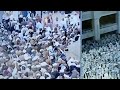 the stoning of the devil ramy al jamarat omaima story planet