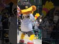 これはワロタ！ キー太 阪神甲子園球場