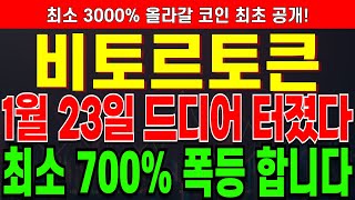 [비토르토큰 코인전망] \