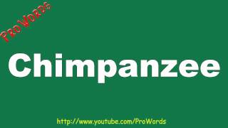 How to Pronounce Chimpanzee - Prowords HD