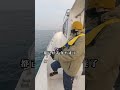 great harvest of sea fishing the result is very unexpected