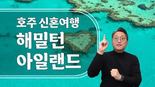 호주 신혼여행...? 에메랄드 바다 + 화이트 비치 + 산호 밭 = 해밀턴