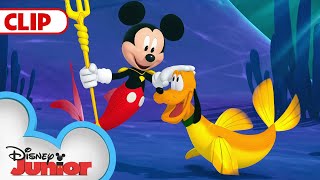 Mickey and Friends become Mermaids! 🧜‍♀️ | Mickey Mouse Funhouse | @disneyjunior​
